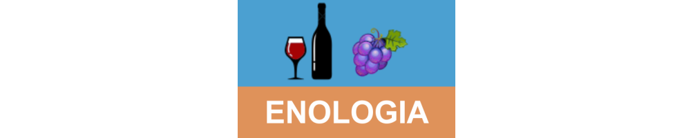 Trofeos de Enología | Reconocimiento para Vinos y Enólogos