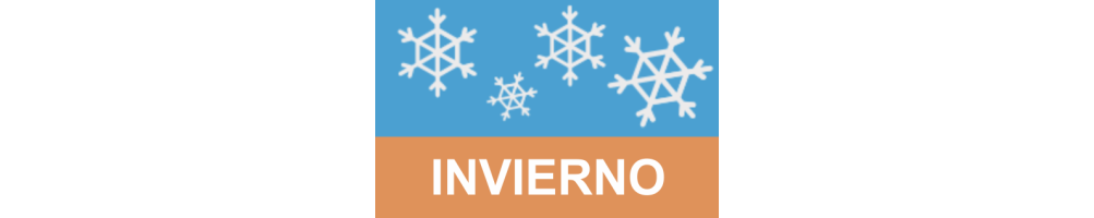 Deportes de Invierno: Adrenalina y Emoción