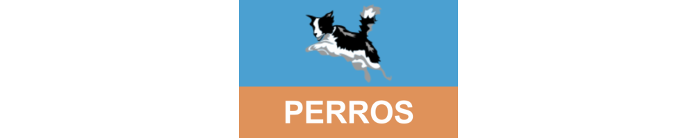 Perros: Descubre los premios Caninos y Competiciones