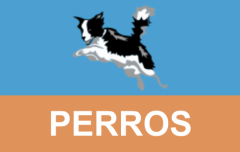Perros