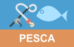 Pesca