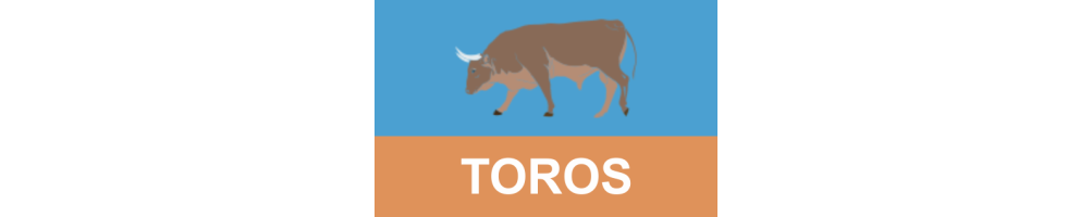 Toros: Honra la Tradición y el Valor en el Ruedo