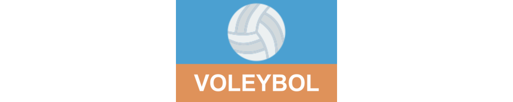 Voleibol: Remates, Bloqueos y la Emoción del Equipo