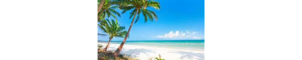 Verano y playa