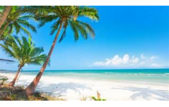 Verano y playa
